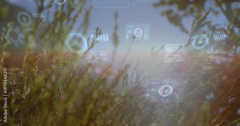 Fototapeta premium Swaying tall meadow grasses and seed heads forming layers at sunrise, with translucent HUD elements