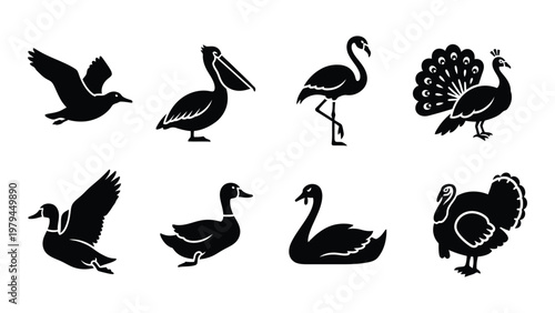 A collection of stylized black silhouette illustrations depicting various bird species including peacocks and waterfowl high quality professional detailed modern elegant