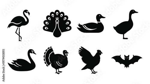 A collection of black silhouette icons representing various bird species including flamingos peacocks and geese high quality professional detailed modern elegant