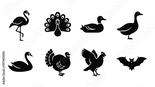 A collection of black silhouette icons depicting various birds and a bat showcasing diverse avian species high quality professional detailed modern