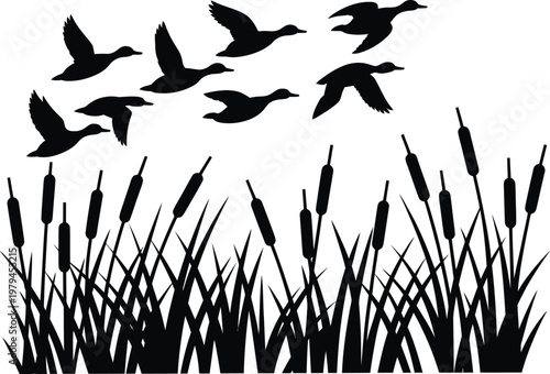 Black silhouette flock of ducks flying over reeds migration