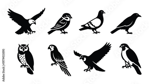 A collection of eight black silhouette bird illustrations including an eagle owl sparrow and other avian species high quality professional detailed