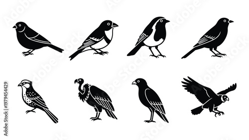 A collection of monochrome bird silhouettes depicting various species in different poses showcasing avian diversity high quality professional detailed modern elegant