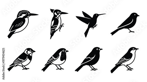 A collection of monochrome bird silhouettes showcases diverse species including kingfishers hummingbirds and smaller songbirds high quality professional detailed modern elegant