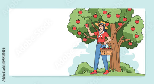 Smiling female farmer picking ripe red apples from a tree into a wooden basket during harvest time in an orchard.