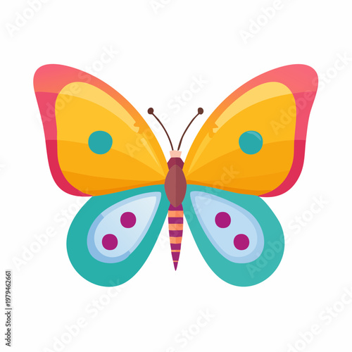 butterfly isolated on white