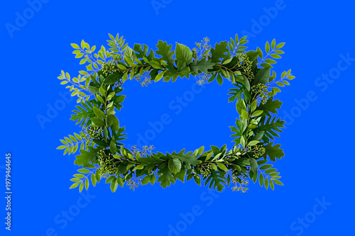 A green leafy square frame on a blue background