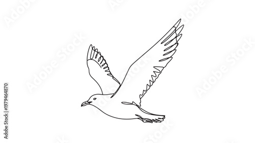 Bird flying sketch with black line art wings spread wide, showing motion and open beak on white background