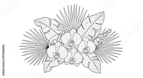 Detailed line art illustration of tropical orchid flowers with banana and fan palm leaves.