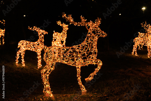 Fotografie Light display of reindeer decorations in a park during the holiday season at nig