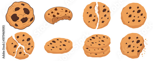 Set of Delicious Chocolate Chip Cookies