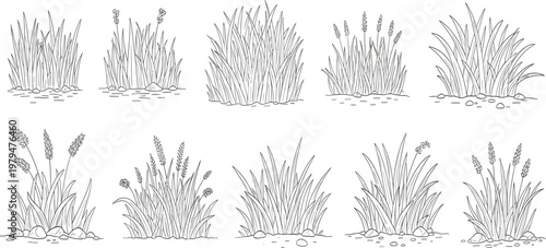 Hand Drawn Grass and Plants Vector Set with Natural Botanical Elements, Wild Meadow Herbs, Foliage Clusters for Landscape Design and Nature Illustrations