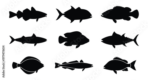 Black fish silhouettes collection, set of 9 sea fish vector icons, saltwater and freshwater fish species shapes for fishing and seafood logos