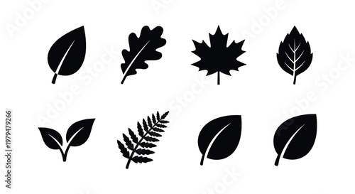 Minimalist black leaf icons set, 8 botanical vector silhouettes, flat nature elements including maple and oak leaves for eco branding