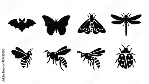 A collection of black silhouette insects including a bat butterfly moth dragonfly bee wasp and beetle high quality professional detailed modern