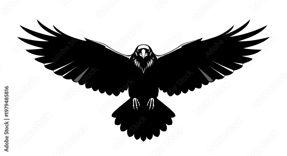 Fototapeta premium Silhouette of a black raven with outstretched wings against a white background.