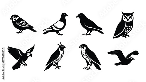 A collection of eight black silhouette birds is displayed featuring diverse species like sparrows pigeons and owls high quality professional detailed