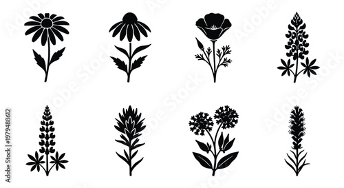 Minimalist wildflower silhouette icons, set of 8 botanical floral elements, black garden flower vector graphics for branding and logo design