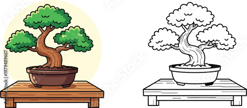 Cartoon Style Bonsai Tree with Pot on Wooden Table Detailed Vector Illustration for Coloring Book