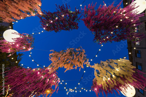 Foto Bright multi-colored flowers against evening sky