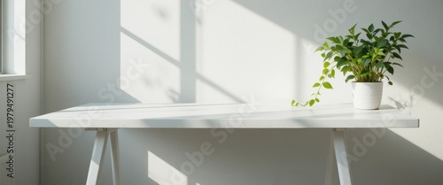 Minimalist White Table with Potted Green Plant Bathed in Soft Sunlight and Gentle Shadows