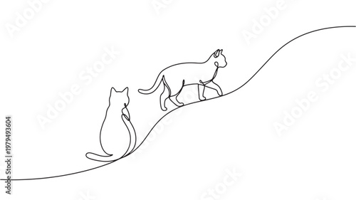 Kangaroo and kangaroo pet feeding illustration with minimalist black line art style on white background