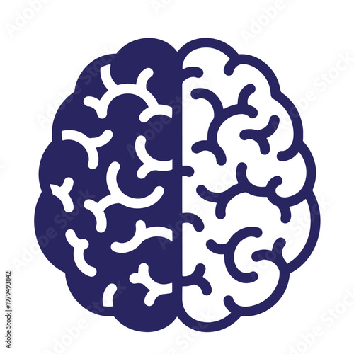 Minimalist of a human brain featuring a split with a solid dark blue left hemisphere and a white outlined right hemisphere on a plain background