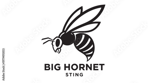 Hornet mascot logo with bold black insect silhouette, spread wings, striped abdomen, and strong sporty emblem typography