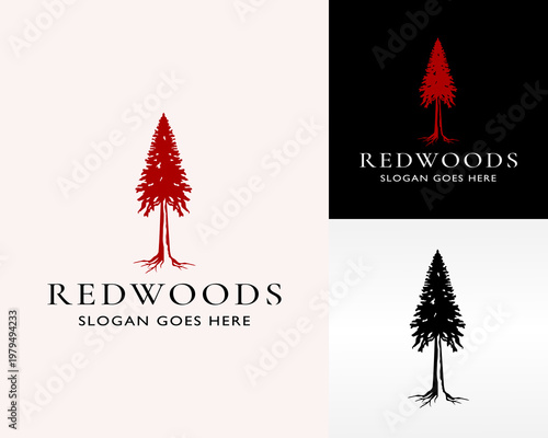 redwoods logo design vector illustration