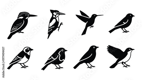 A collection of monochrome bird silhouettes showcases various species with differing body shapes and beak structures high quality professional detailed modern