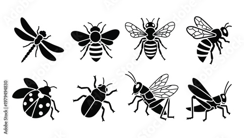 A collection of black silhouette insects including bees ladybugs dragonflies beetles wasps and grasshoppers high quality professional detailed modern elegant stylish