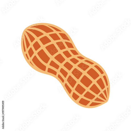 single peanut in shell isolated on white background healthy snack food ingredient.