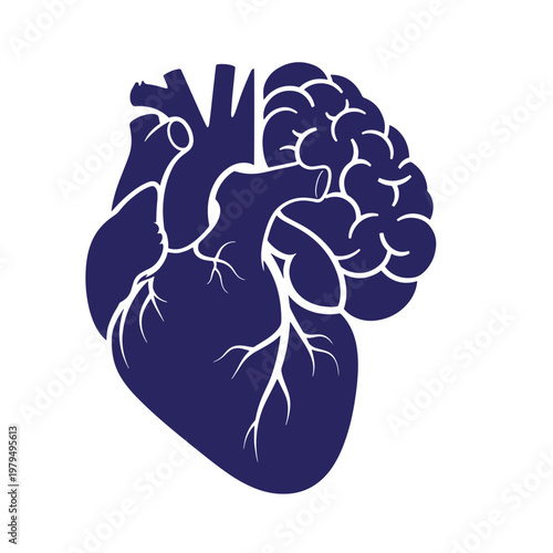 Dark blue heart with brain, merged organ white outline merged organs