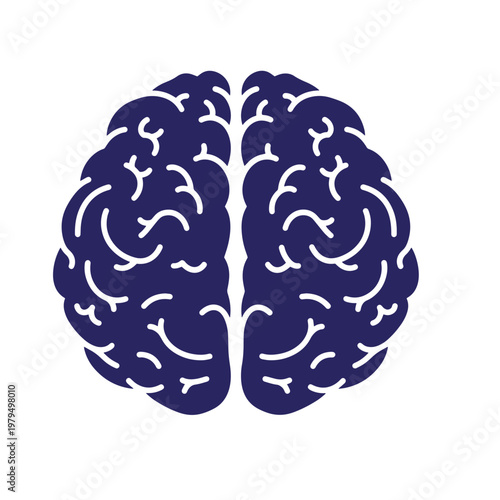 Top-down view of a dark blue human brain silhouette with white line details representing the cerebral cortex, isolated on a white background