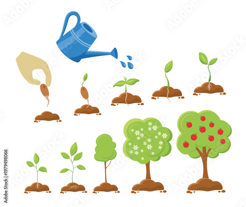 gardening seed planting, sprouting, growth stages, flowering tree and apple tree with watering can and hand seedling set for ecology and agriculture design Flat style illustration