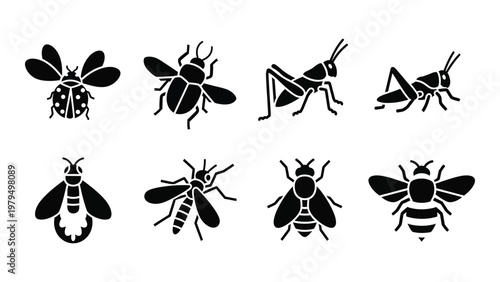A collection of black insect silhouettes depicting various species like bees flies beetles and grasshoppers high quality professional detailed modern elegant