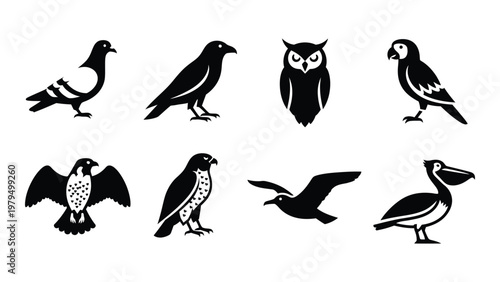 A collection of eight different bird silhouettes in black and white showcasing various species and wing positions high quality professional detailed