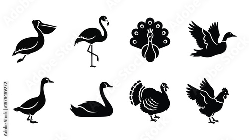 A collection of black silhouette icons depicting various bird species including pelicans flamingos and turkeys high quality professional detailed modern elegant