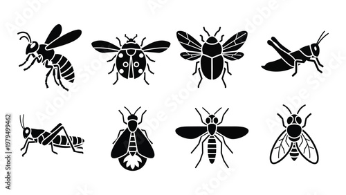 A collection of black silhouette icons depicting various insects including bees beetles grasshoppers and flies high quality professional detailed modern elegant