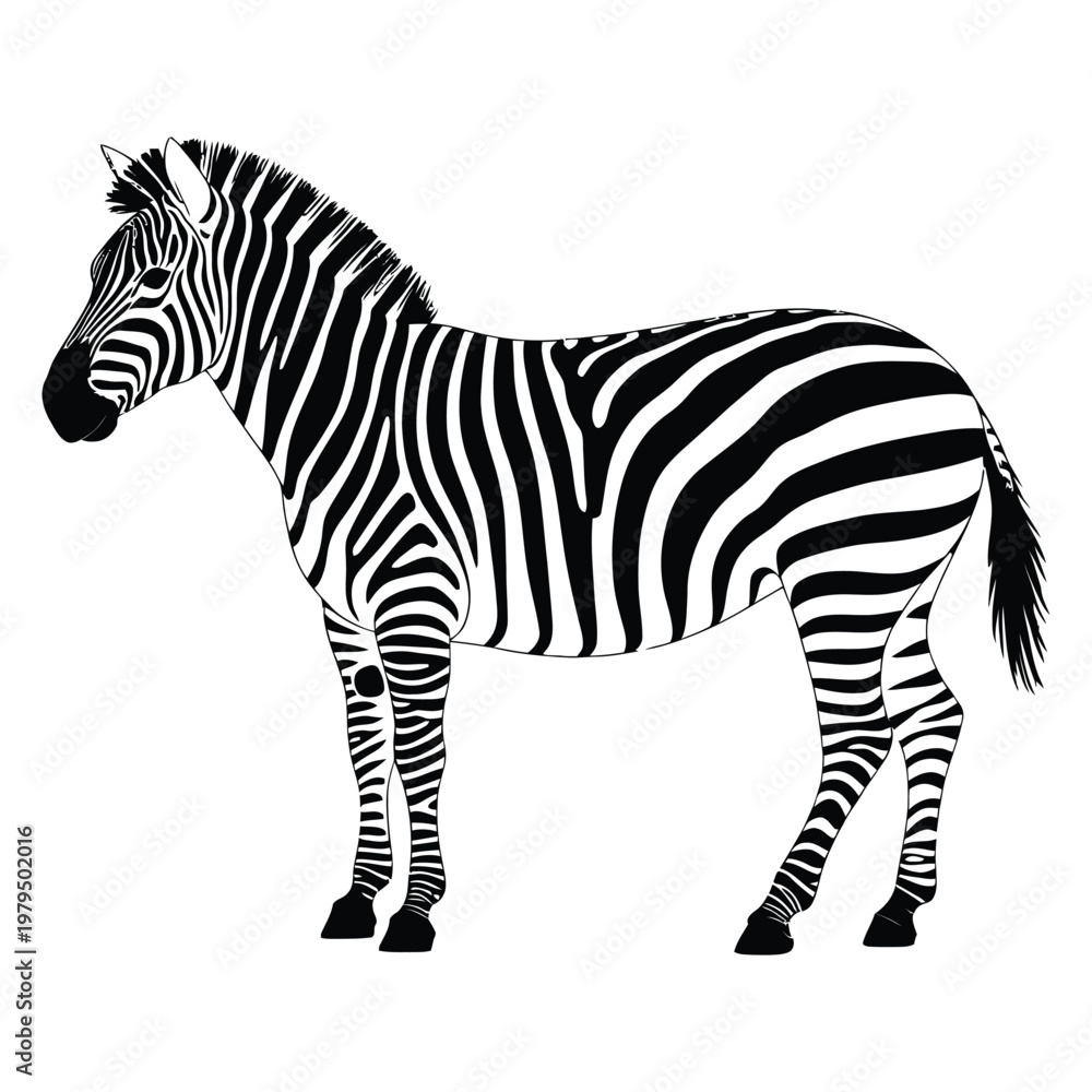Obraz premium A striking black and white illustration of a zebra standing in profile a bold silhouette