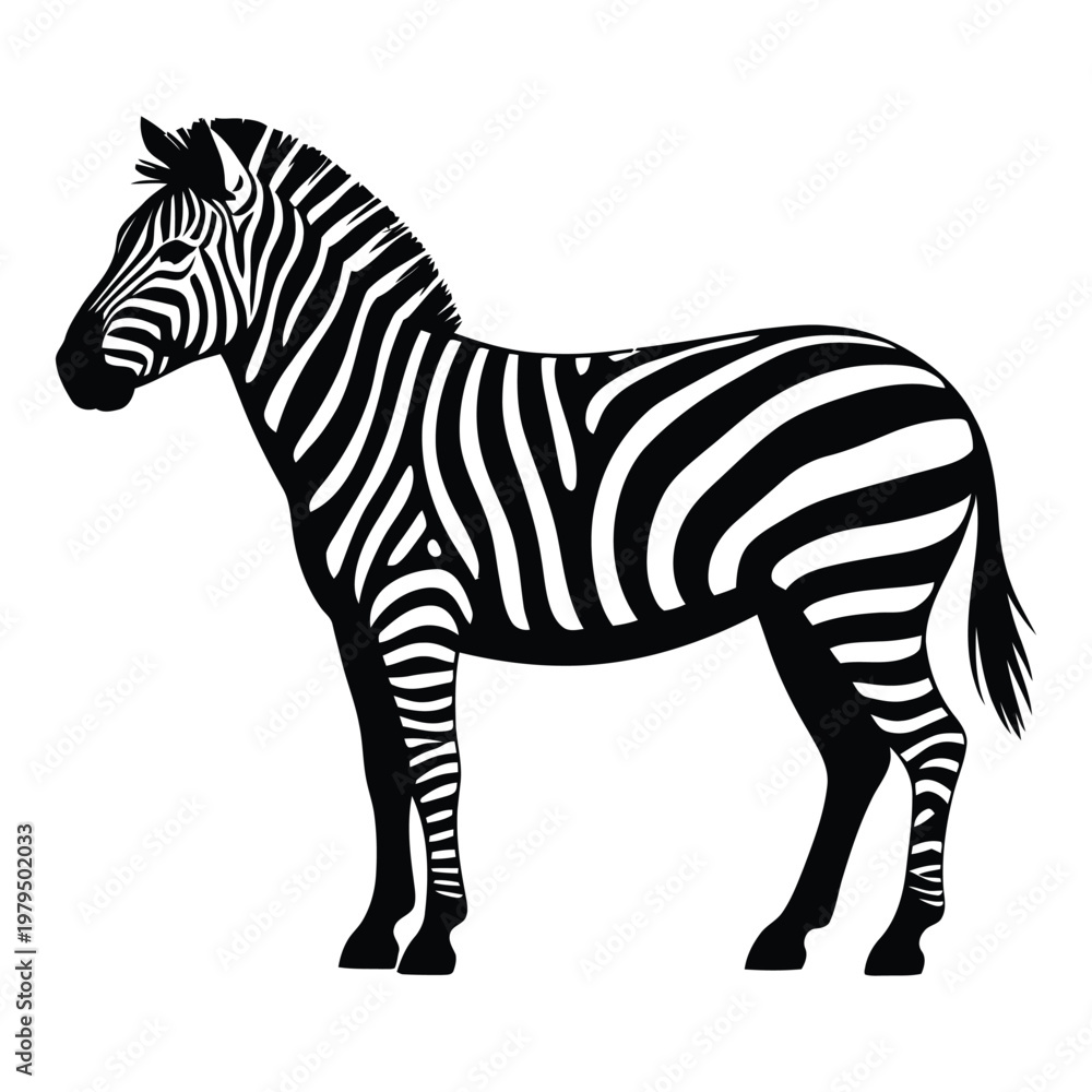 Obraz premium A striking black and white zebra stands prominently against a neutral background silhouette