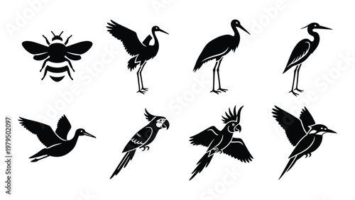 A collection of black silhouette illustrations depicts various birds including cranes parrots a bee and a woodpecker high quality professional detailed