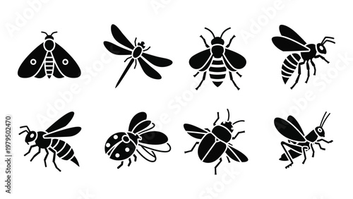 A collection of various black silhouette insect icons including bees dragonflies ladybugs and beetles displayed on a white background high quality