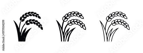 Rice stalk icon set, filled and outlined, for agriculture or grain