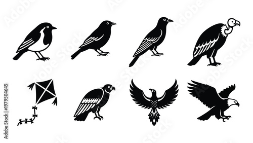 A collection of monochrome avian silhouettes including birds of prey songbirds and a kite with floral detail high quality professional detailed