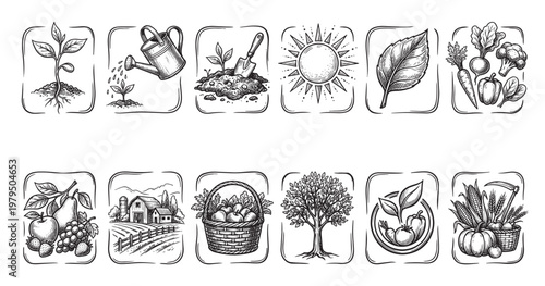 A collection of hand-drawn illustrations depicting various stages of farming and gardening, from planting seeds to harvesting crops and fruits.