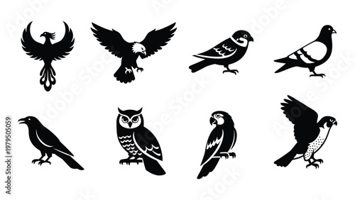 A collection of black silhouette bird illustrations depicting various species including eagles owls and pigeons high quality professional detailed modern elegant