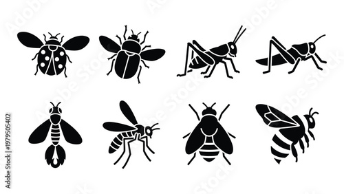 A collection of black silhouette insect icons depicts ladybugs beetles grasshoppers bees and wasps in a graphic style high quality professional