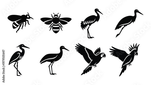 A collection of black silhouette icons depicts various insects including bees and several bird species in different poses high quality professional