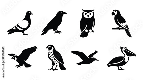 A collection of eight distinct bird silhouettes is presented in black and white showcasing varied species and postures high quality professional